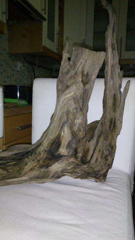 akvarijni kořeny wood japan - foto 8