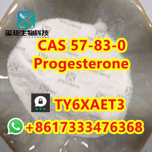 Progesterone CAS 57-83-0  - foto 4