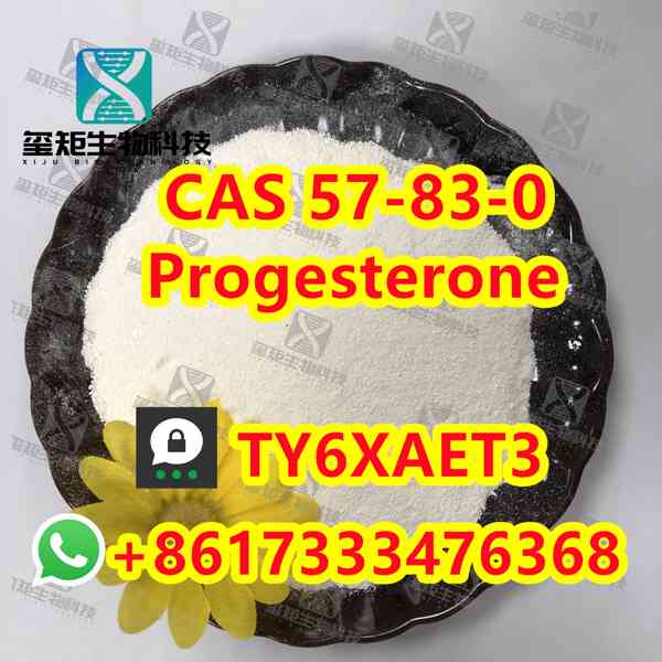 Progesterone CAS 57-83-0  - foto 5