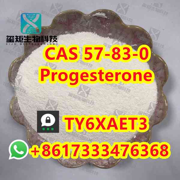 Progesterone CAS 57-83-0  - foto 1