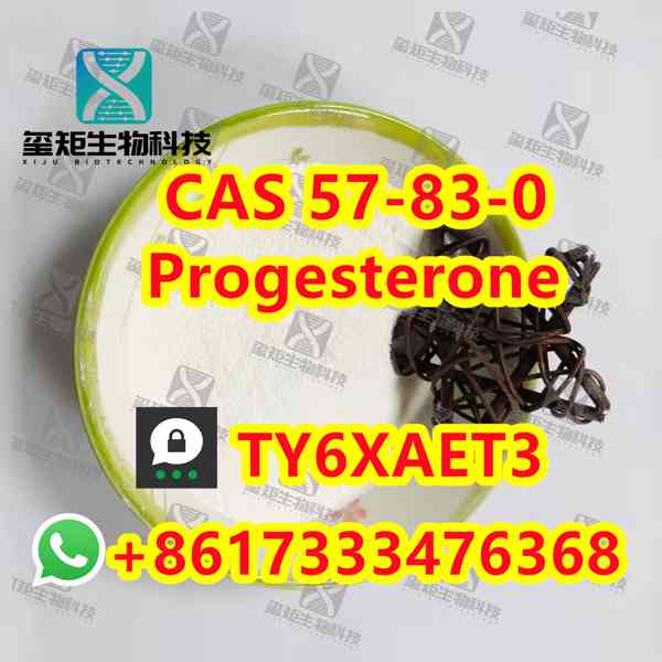 Progesterone CAS 57-83-0  - foto 2