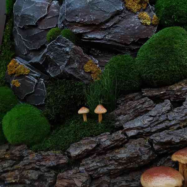 Mechový obraz / obraz ze stabilizovaného mechu - foto 4