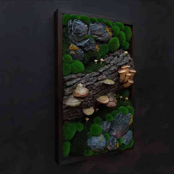 Mechový obraz / obraz ze stabilizovaného mechu - foto 3