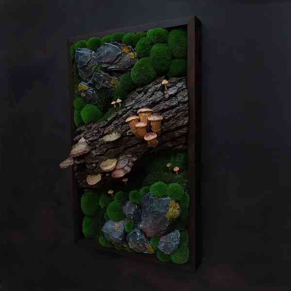 Mechový obraz / obraz ze stabilizovaného mechu - foto 2