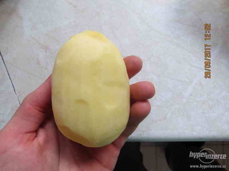 Prvotřídní konzumní brambory za 4,- - foto 5