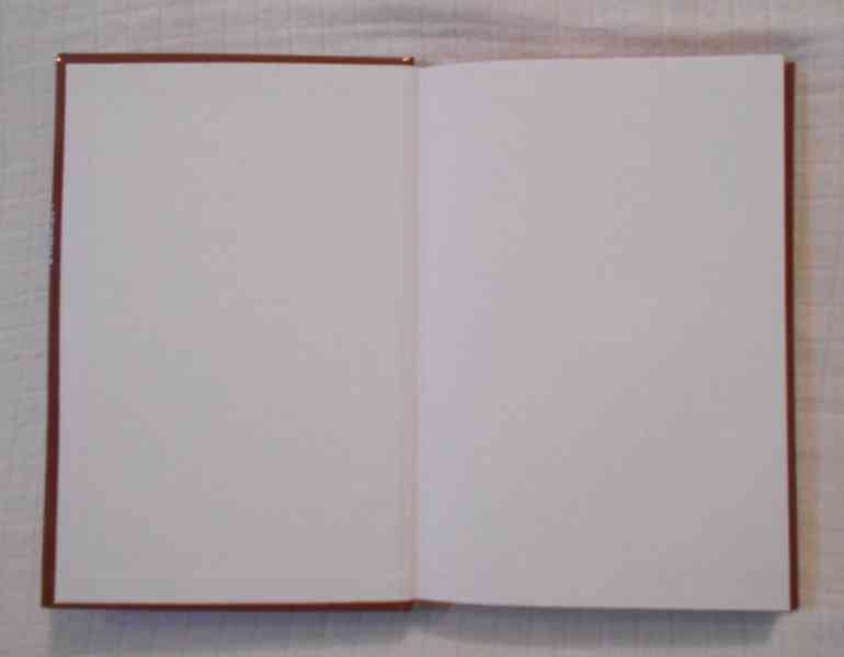 Vlasta Javořická - Nezlomená - Praha 1993 - foto 2