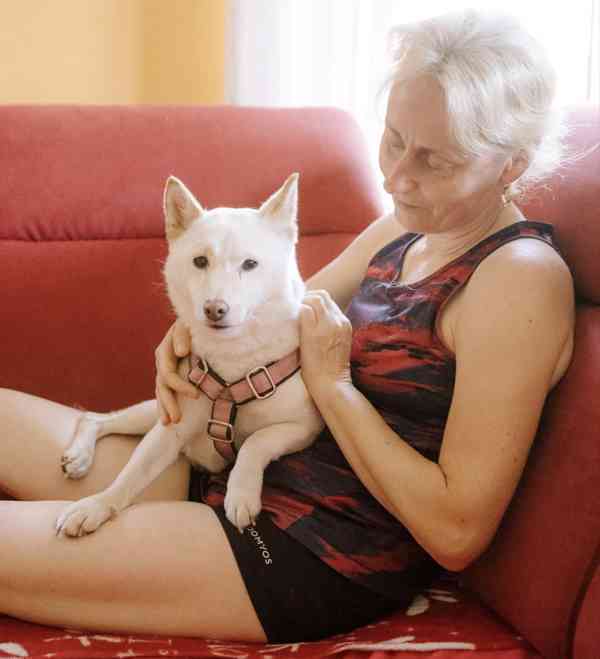 ALBA - Shiba Inu 8 kg, kastrovaná fenečka 7 let  - foto 4