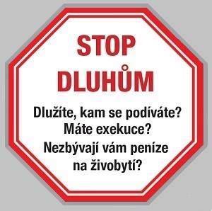 oddlužení dle INS zákona - foto 1