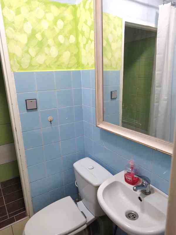 1.lůž. pokoj s balkonem a kuch. linkou v RD, student/ka - foto 11