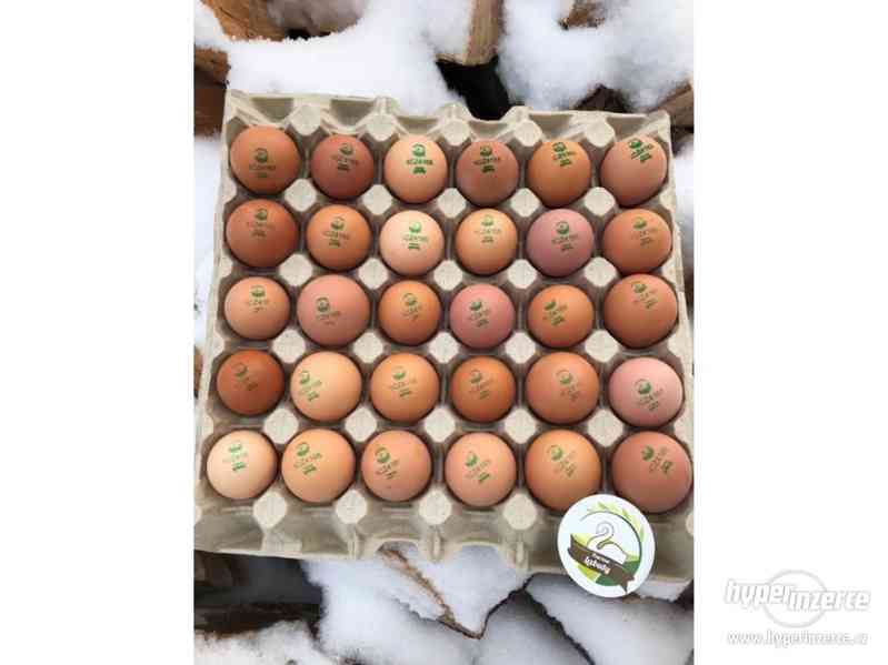 Farmářská kuřata a vejce - foto 3
