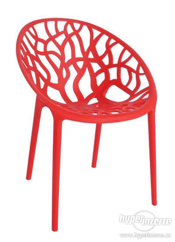 Designová židle ARBOREAL 6  barev - foto 2