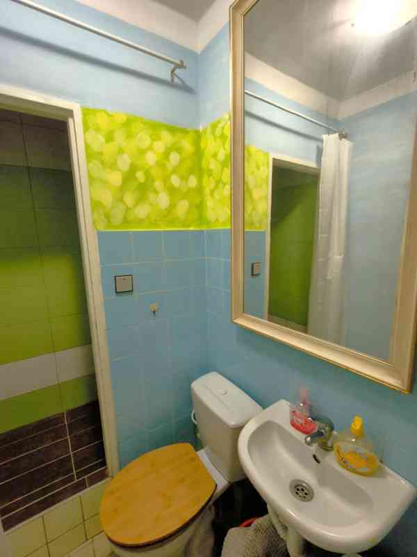 1.lůžkový pokoj RD Řečkovice, student/ka, 1.8./1.9. - foto 9