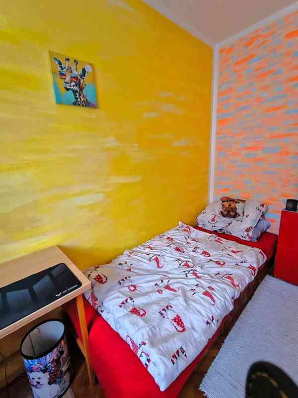 1.lůžkový pokoj RD Řečkovice, student/ka, 1.8./1.9. - foto 3