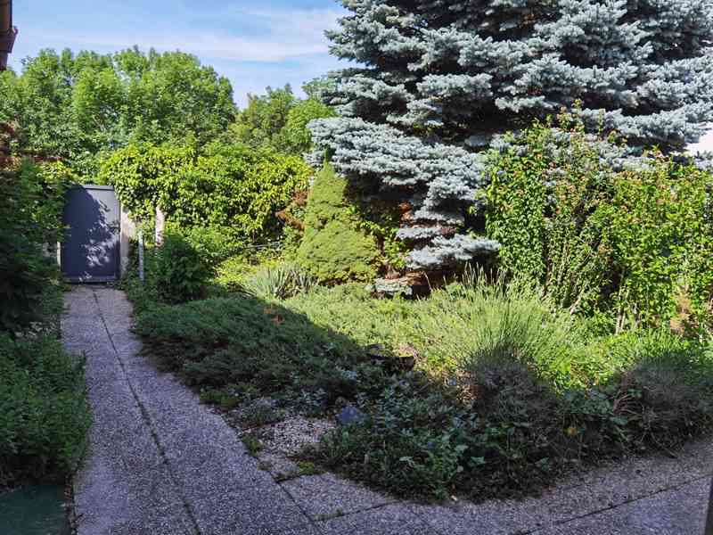 Samostatně stojící RD 3+1, 90m2, obec Jenštejn, Praha–Východ - foto 18