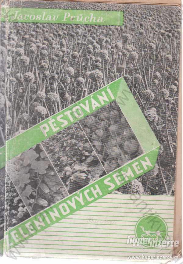 Pěstování zeleninových semen Jaroslav Průcha 1950 - foto 1