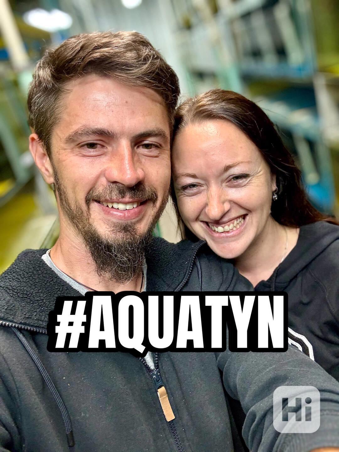 Největší výběr Afrických cichlid na jihu Čech - foto 1