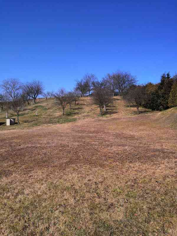 Stavební pozemek se zahradou (1456 m²) – Buk u Přerova - foto 2