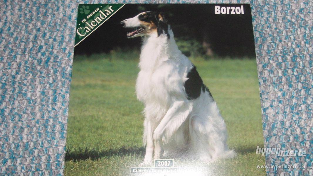 Barzoi - Borzoi - kalendář - 2007. - foto 1