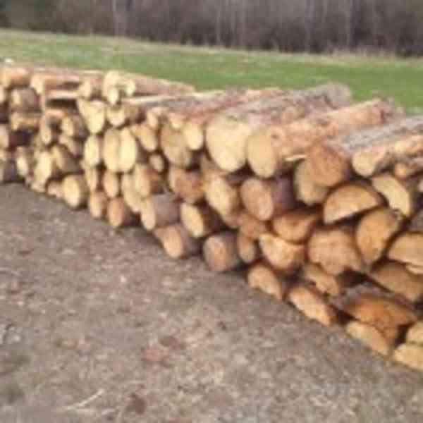 Prodej dřeva na topení - foto 3