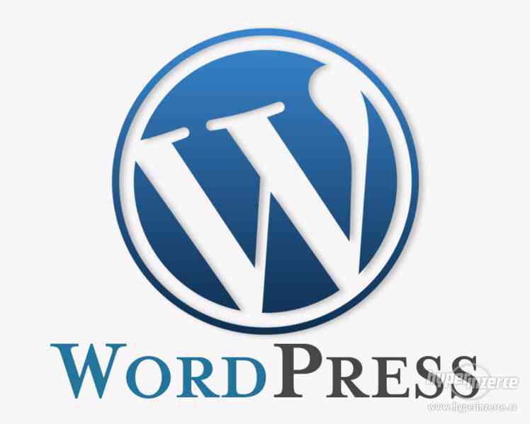 Brigáda - vytvoření jednoduchého webu ve Wordpressu - foto 1