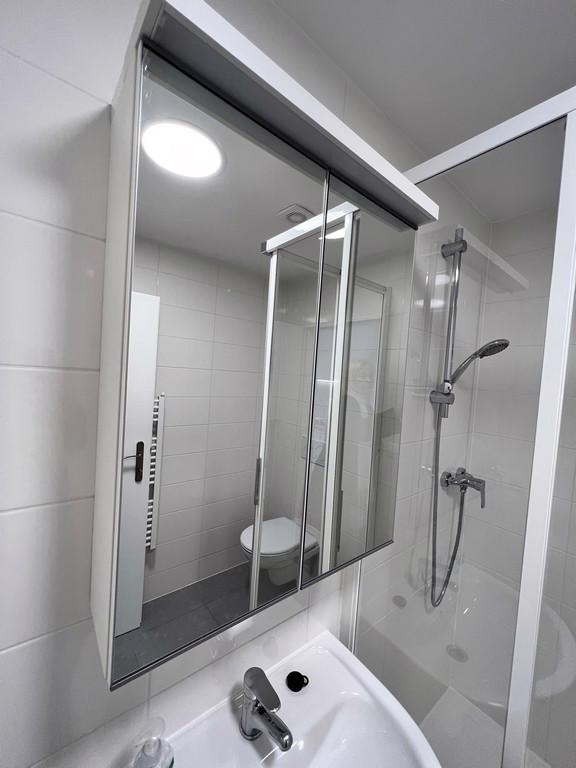 PRONÁJEM BYTU 1+KK, BRNO – MALOMĚŘICE  - foto 6