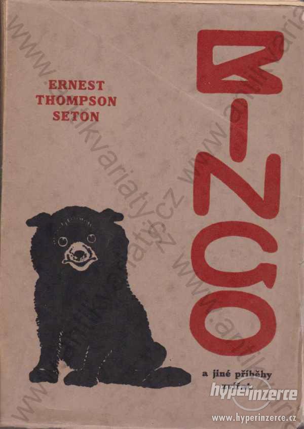 Bingo Ernest Thompson Seton Knihovna Walden 1929 - foto 1