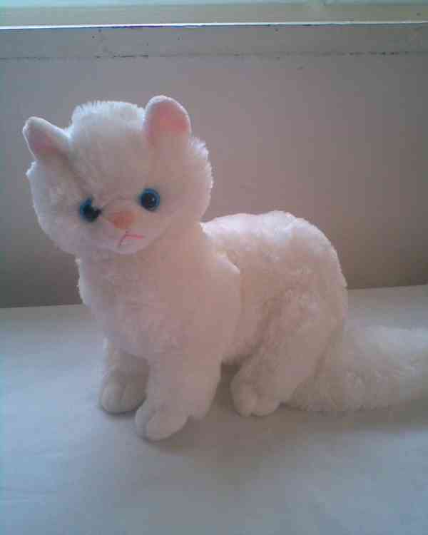 Nová pohádková knížka o kočičkách - foto 3