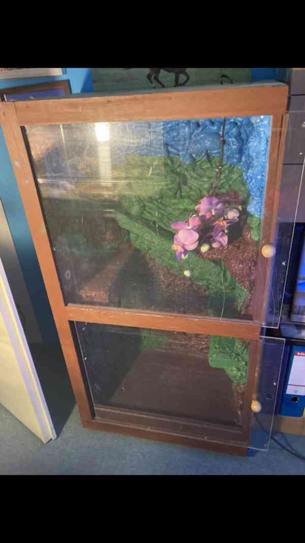 Prodám terárium - foto 2
