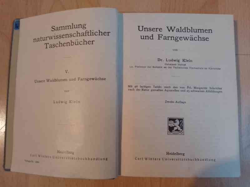 WALDBLUMEN und FARNE. V - L. Klein - 1900 - foto 2