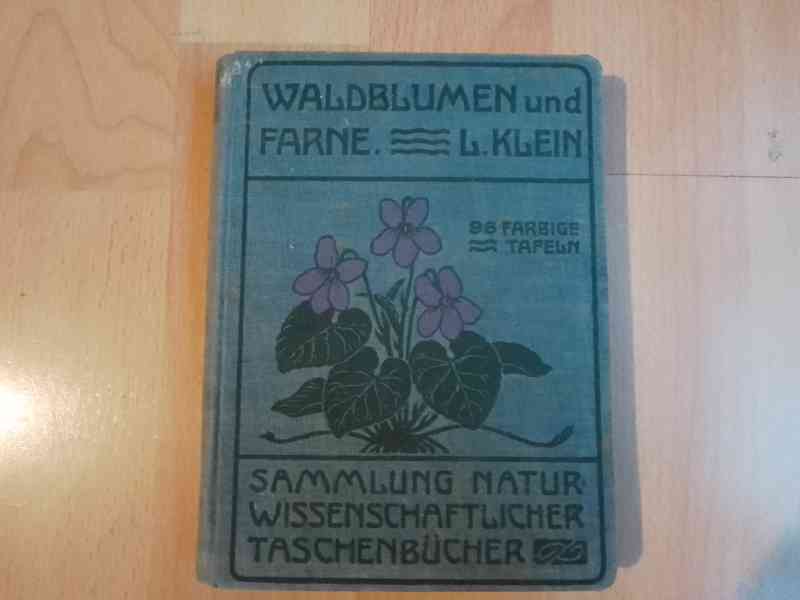 WALDBLUMEN und FARNE. V - L. Klein - 1900 - foto 1