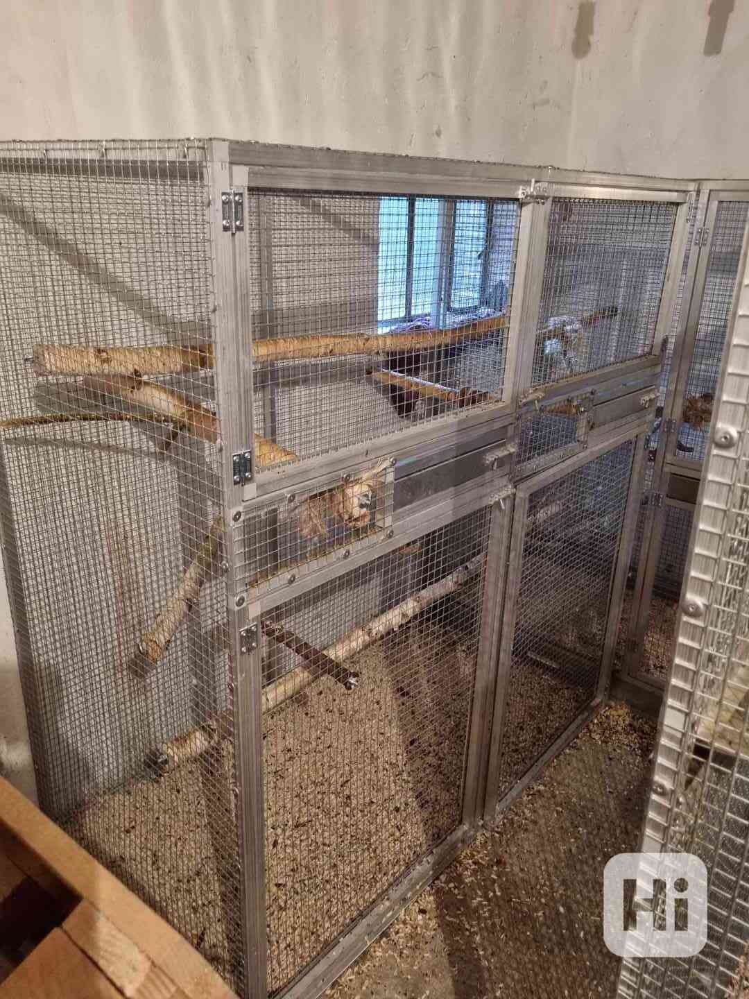 Voliéra pro papoušky - foto 1