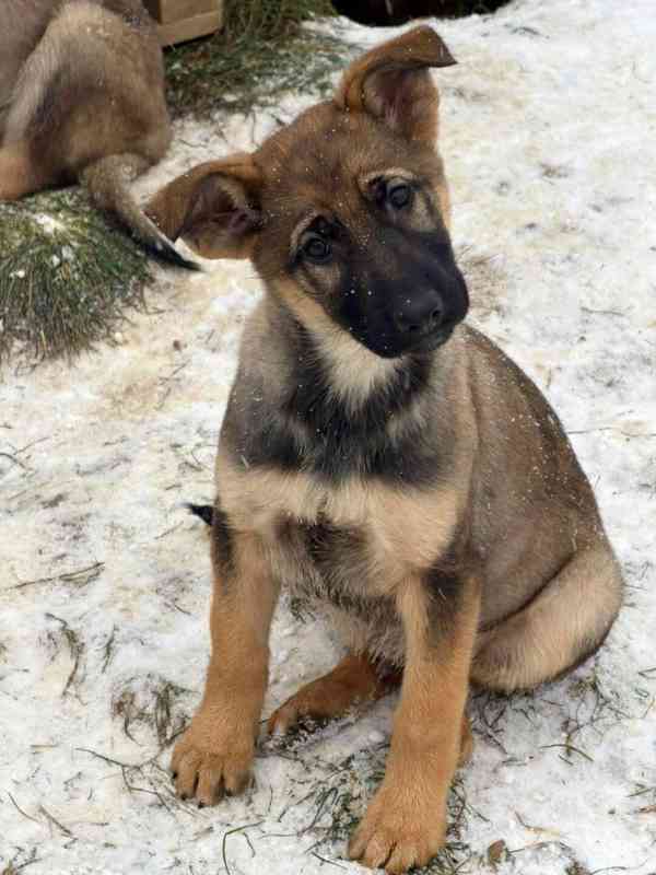 6 chlapečků, 4 holčičky - 3 měsíce  - foto 3