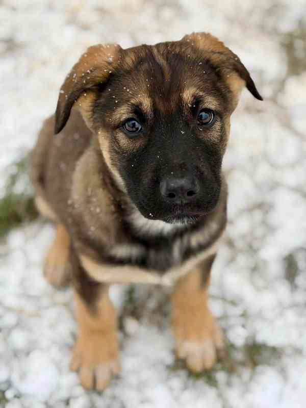 6 chlapečků, 4 holčičky - 3 měsíce  - foto 10