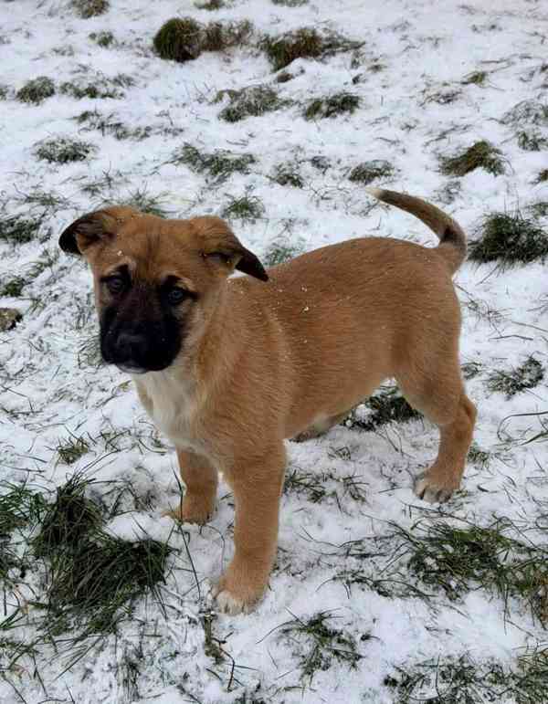 6 chlapečků, 4 holčičky - 3 měsíce  - foto 9