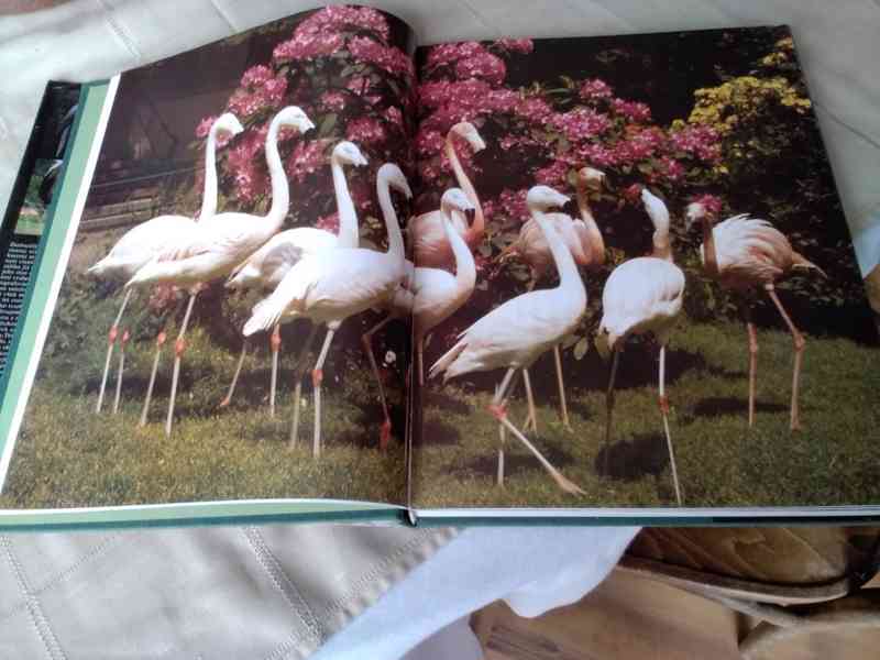 ZOO- útočiště zvířat - foto 2