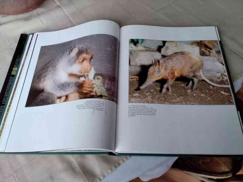 ZOO- útočiště zvířat - foto 6