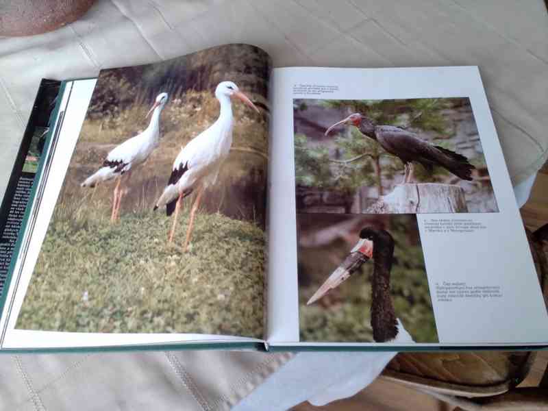 ZOO- útočiště zvířat - foto 4