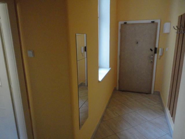 Pronájem 1+1, ulice Dornych, centrum (u Vaňkovky), 42 m2, ko - foto 8