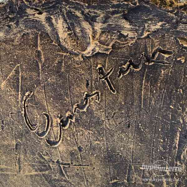 Busta - Einstein - foto 5