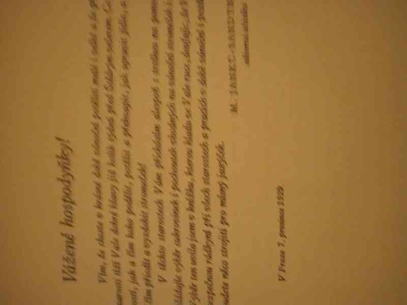 Sandtnerová - Cukrovinky a pamlsky na vánoční stoleček - foto 2