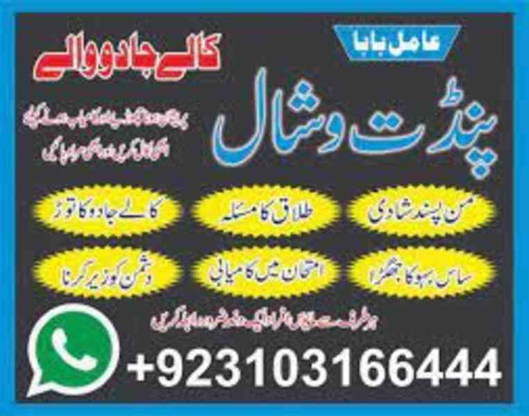 Professional Astrologer & Black Magic Expert – Amil Baba USA - foto 2