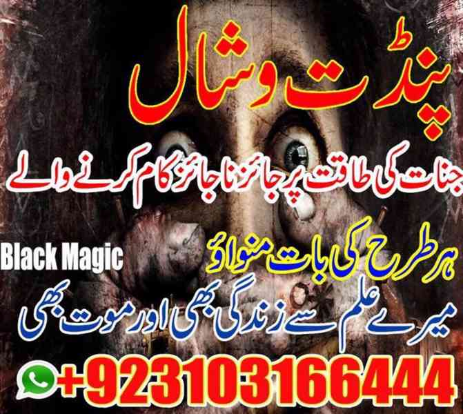 Professional Astrologer & Black Magic Expert – Amil Baba USA - foto 3