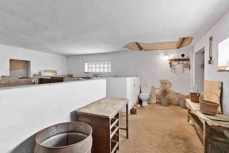 Rodinný dům 3+1,  2 381 m² stavebního pozemku, Plazy u MB - foto 36