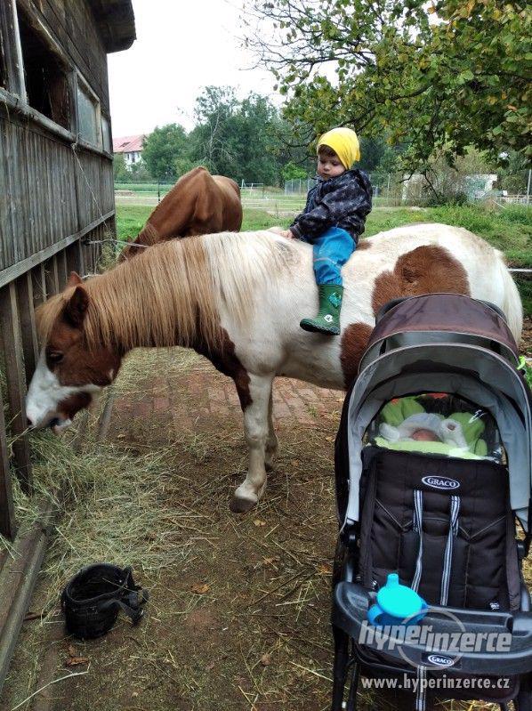 Prodám ponika - foto 3