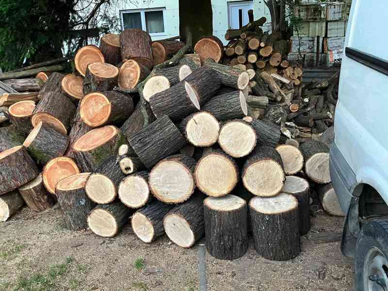 Suché dřevo na topení - foto 2