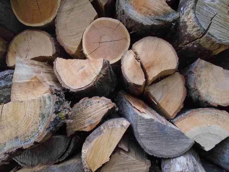 Suché dřevo na topení - foto 3