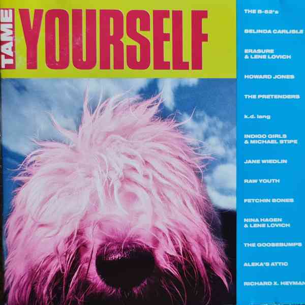 CD - TAME YOURSELF / Various Artists - foto 1