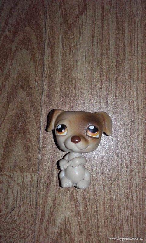 Littlest pet shop - foto 10