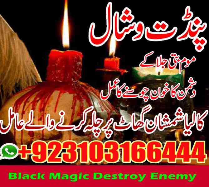 Amilbaba World No 1 amil baba amil baba astrologer - foto 3