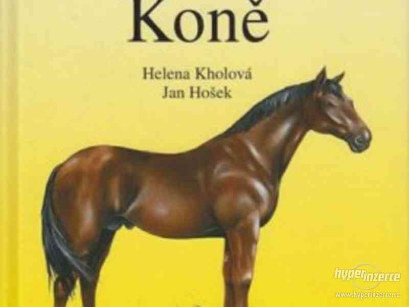 Koně -  Helena Kholová, Jan Hošek - foto 1